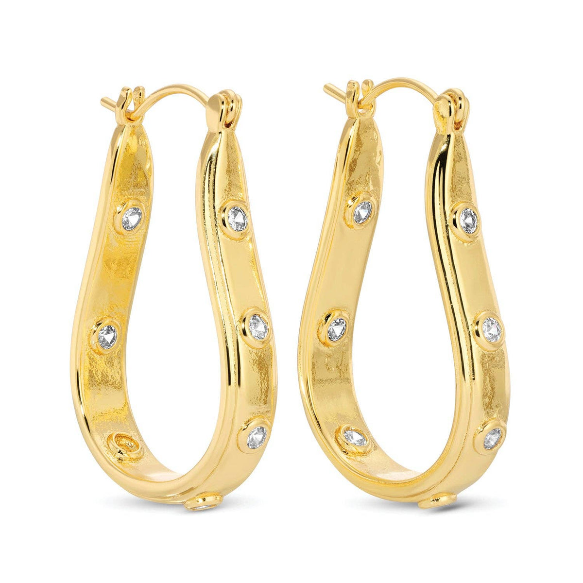 Oblong Latchback Earrings